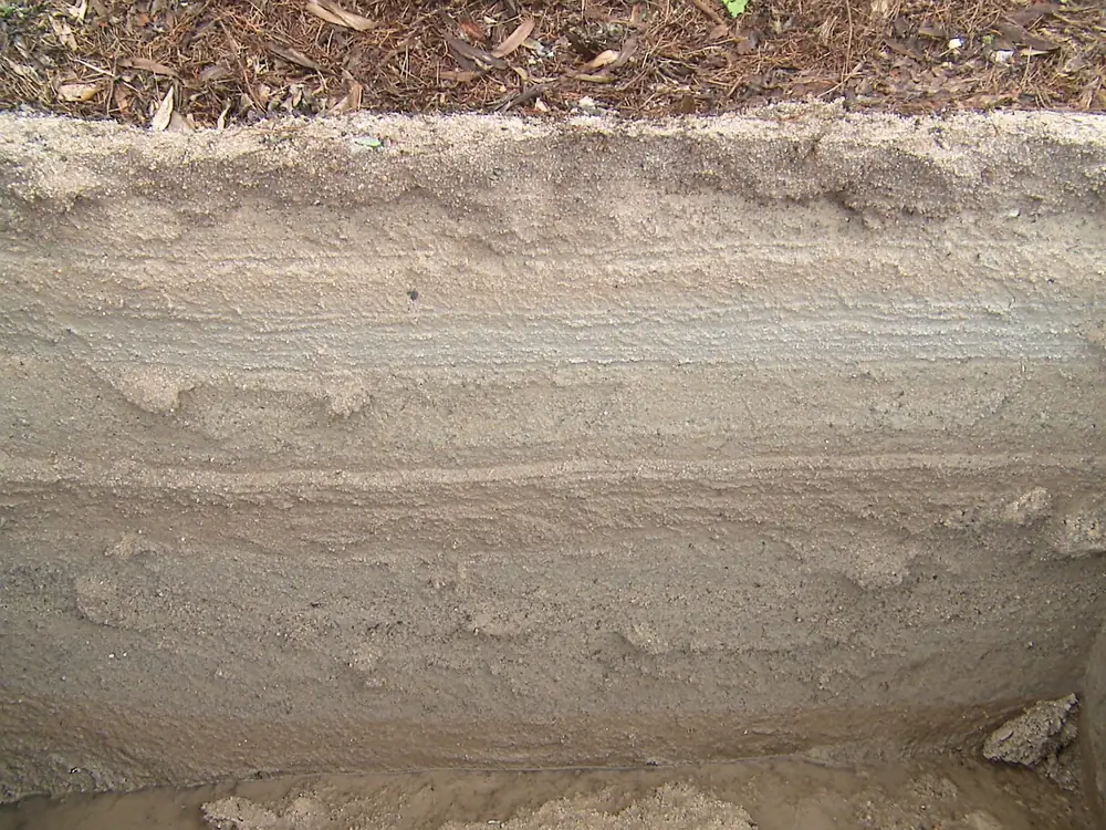 The wall of a soil test pit in Sandwich, Massachusetts, showing layered pale sand under a thin dark topsoil line, with damp darker sand at the bottom of the pit