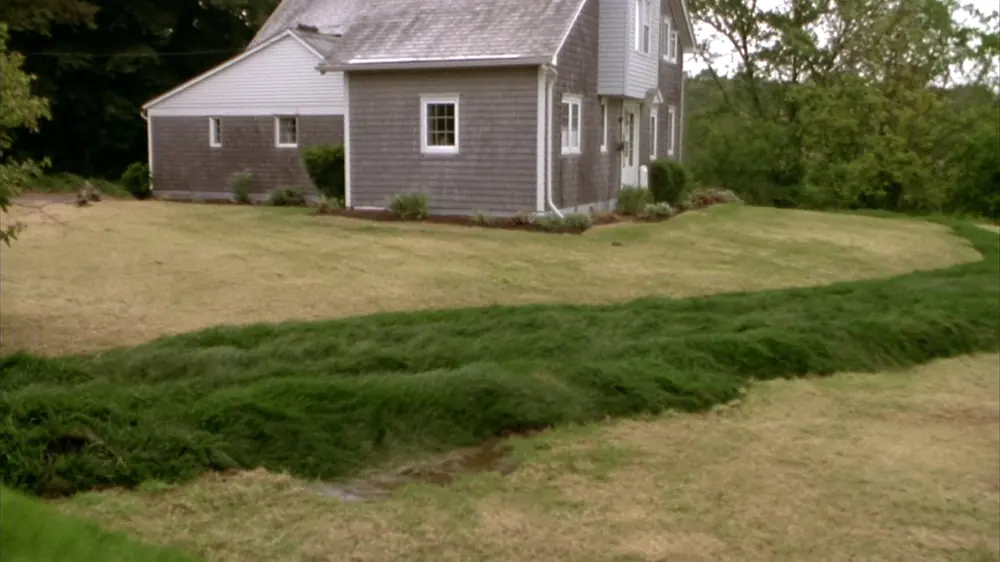 A dark green strip of soggy, overgrown lawn crossing the yard over a failing leach field behind a gray shingled house in Plymouth, Massachusetts